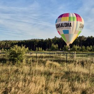 Heißluftballon im tiefen Landeanflug über einer Wiese in der Senne bei Bielefeld